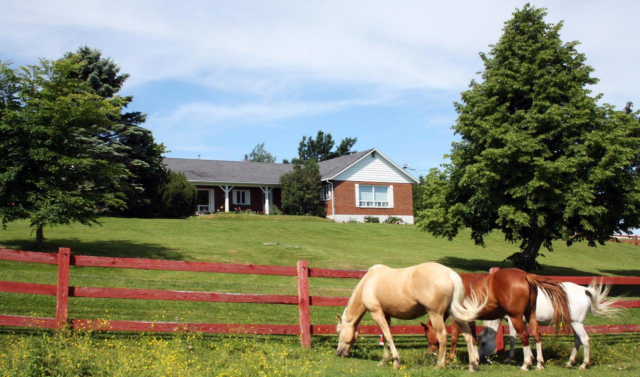 Ranch St-Hubert Bed & Breakfast Saint-Hermenegilde Екстериор снимка